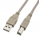 POWERTECH Καλώδιο USB 2.0 σε USB Type B, 1m, Χάλκινο, Γκρι